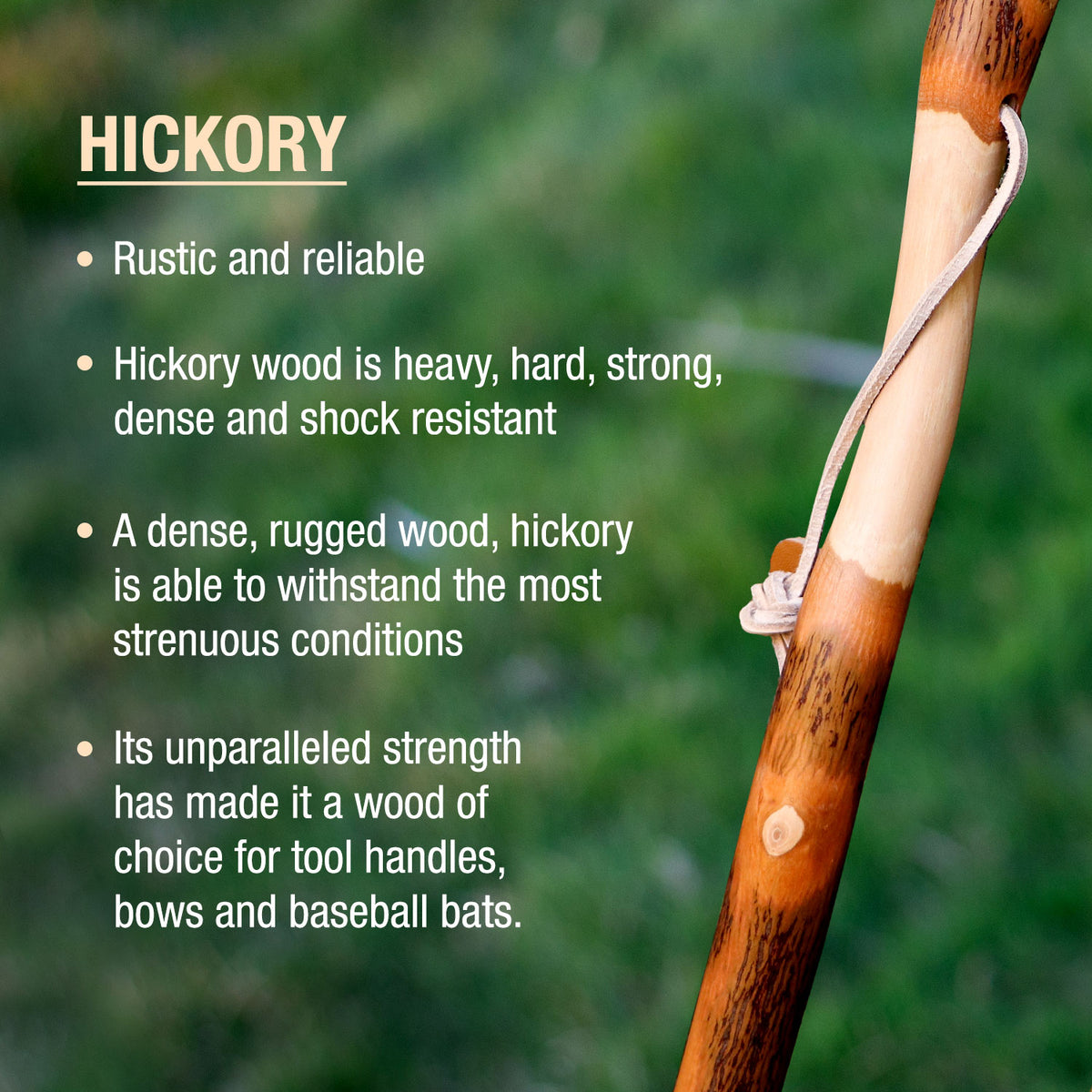 Twisted Hickory Rustic Walking Stick Brazos Walking Sticks 7960