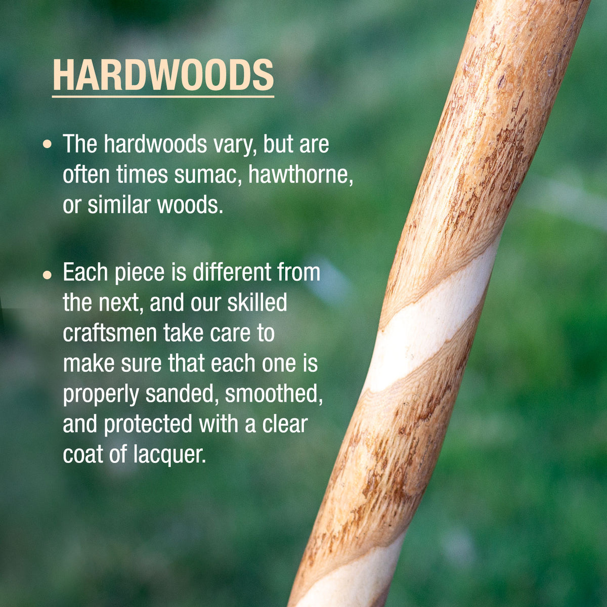 Twisted Assorted Hardwood Rustic Walking Stick 55 Brazos Walking Sticks 6845