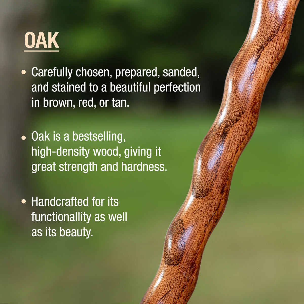 OAK walking stick, round hook handle and stick oak wood bent from one  piece, oiled and polished