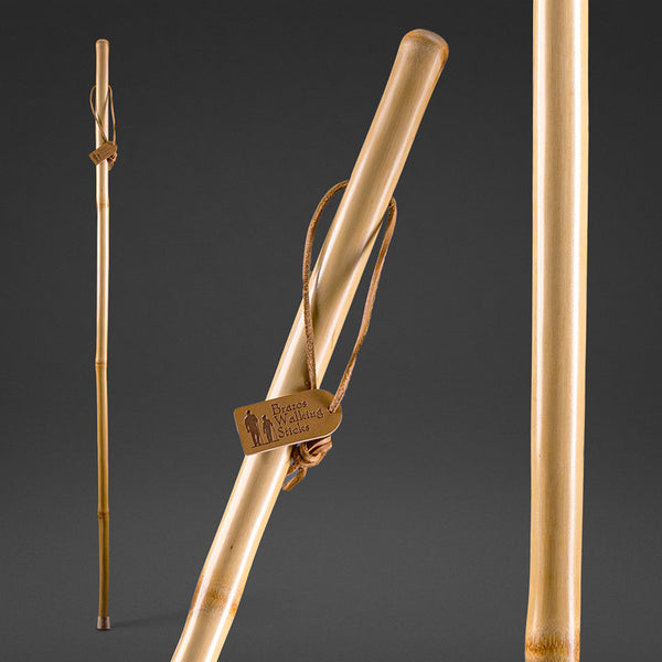 Brazos Brass Spike, Gold – Brazos Walking Sticks