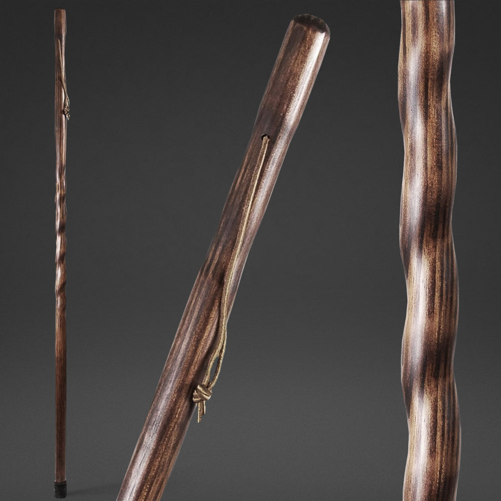 Twisted Trail Blazer Handcrafted Walking Stick – Brazos Walking Sticks