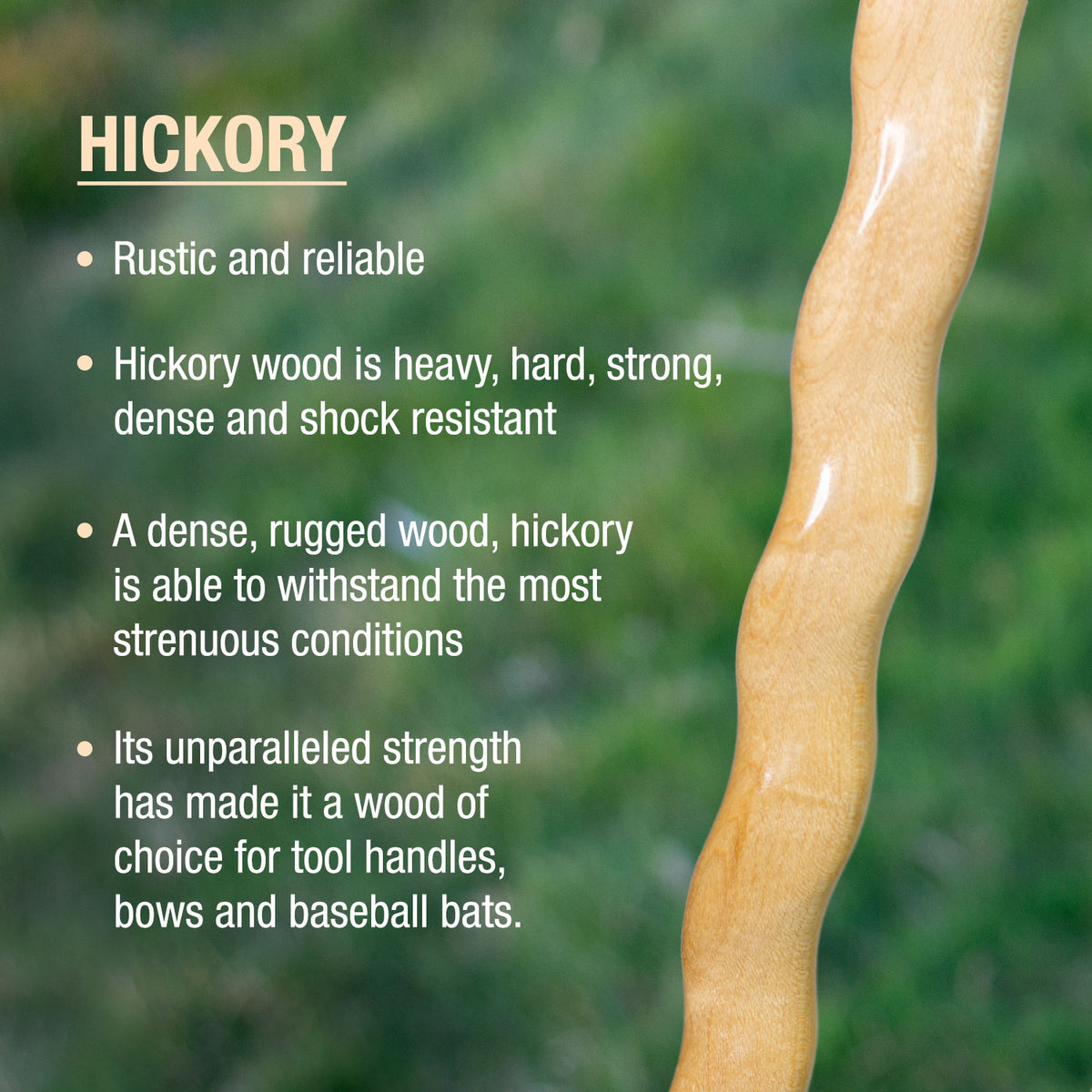 Twisted Hickory Texas Safari Hitchhiker Handcrafted Walking Stick 58 Brazos Walking Sticks 9313