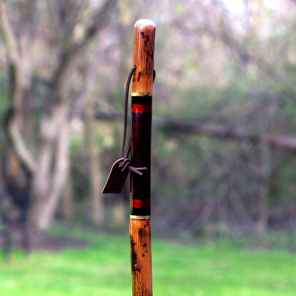 Hickory Walking Stick, Staff, Walkingstick, Kiln Dried Stick, Trecker,  Plain Walking Stick, Staff, Natural Hiking Stick Hickory Hiking Stick 