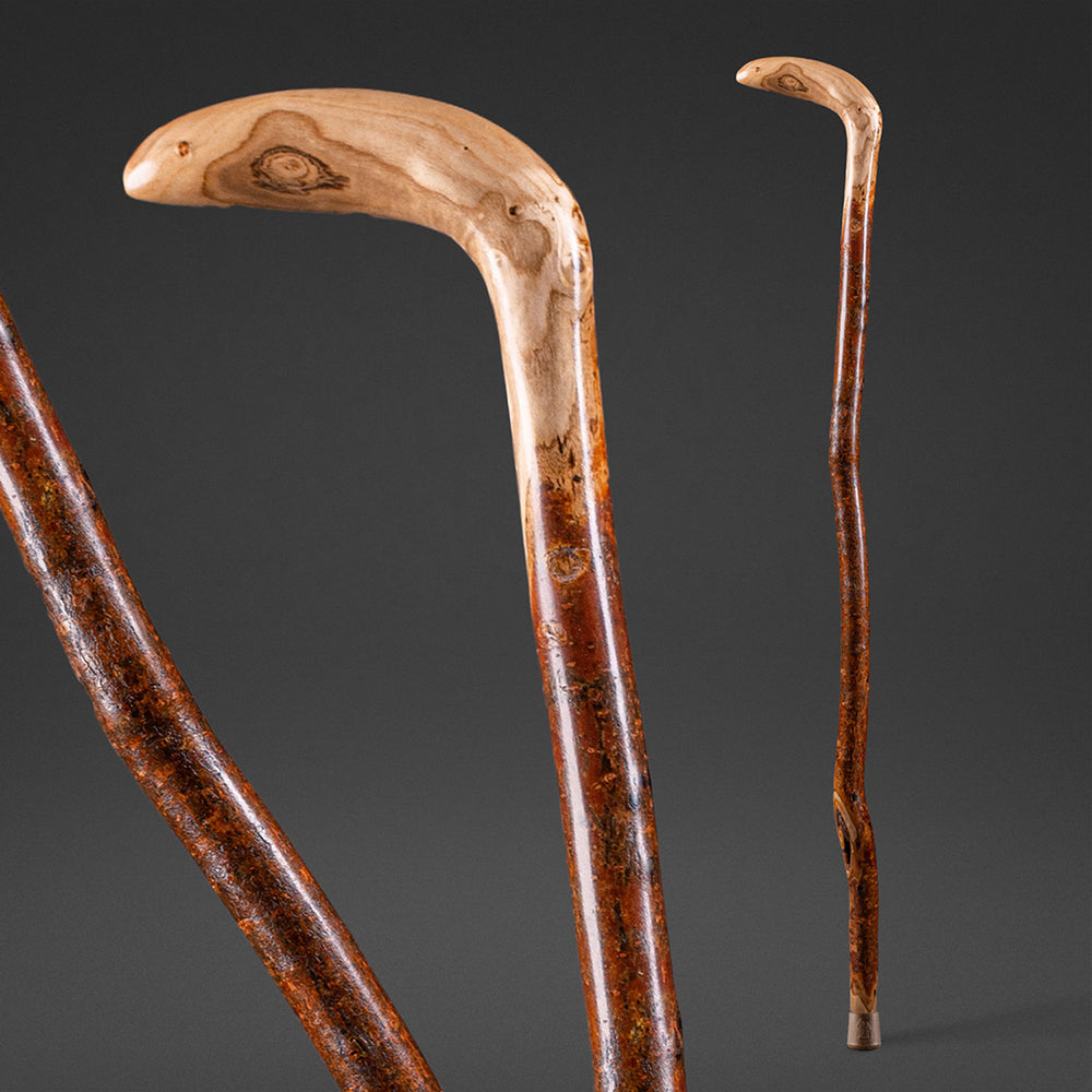 Assorted Hardwood Root Rustic Walking Cane – Brazos Walking Sticks